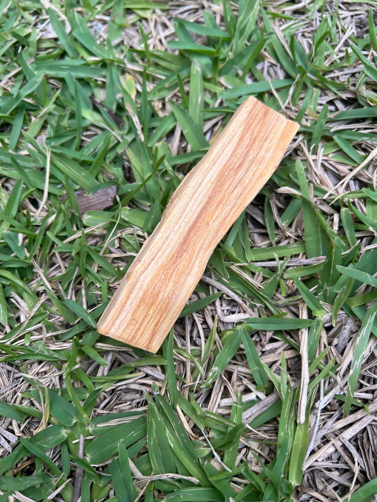 Palo Santo Stick