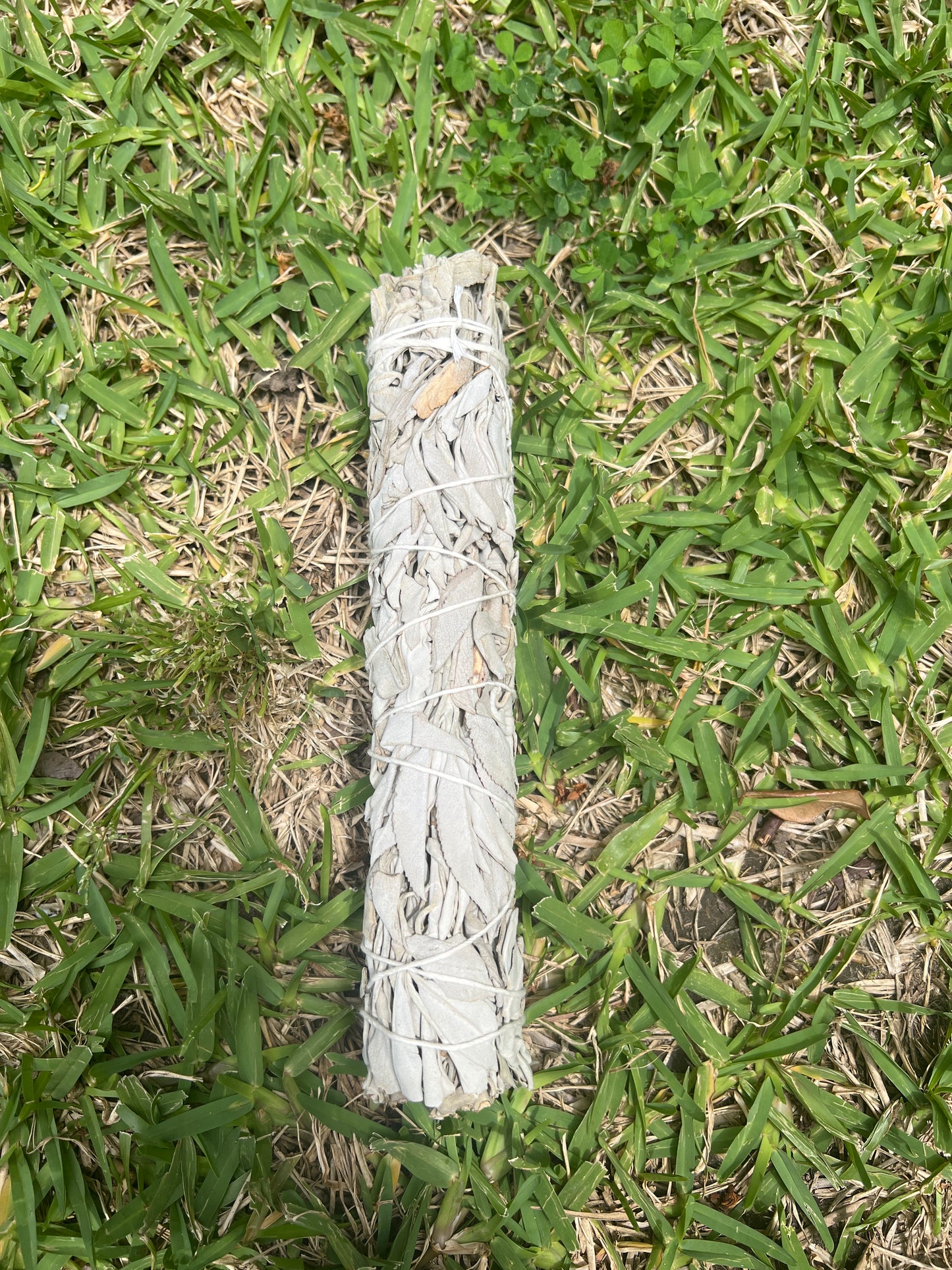 White Sage Smudge Stick Large